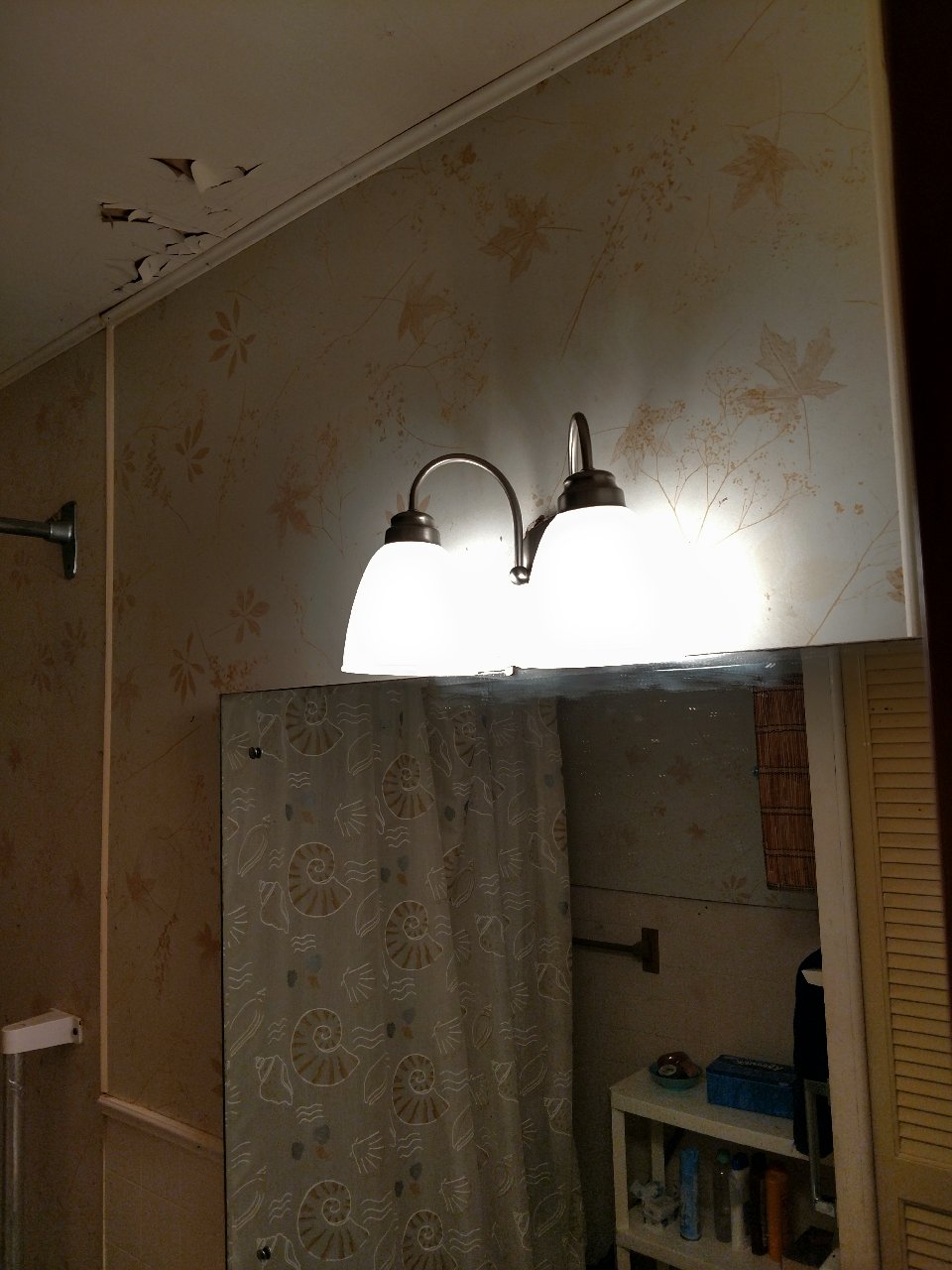 New bathroom light.jpg